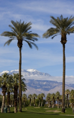 Fulton Accounting Palm Springs, CA